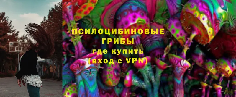 Как найти закладки Бологое СК  ГАШ  Галлюциногенные грибы  NBOMe  Бошки Шишки 