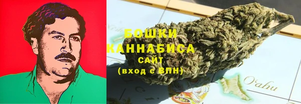 шишки Алзамай